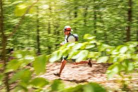 coureur pratiquant l'activité de la course a pied dans un bois